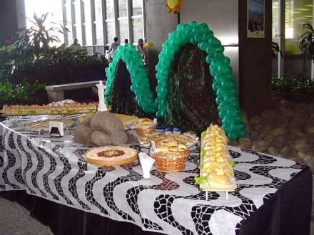 Festa Cidade Maravilhosa